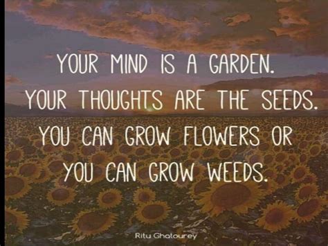 Your Mind Is A Garden
