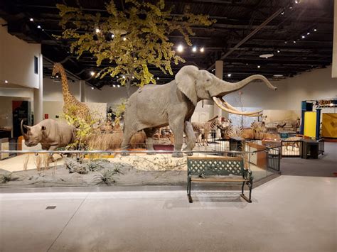 Zoo Great Plains Zoo And Delbridge Museum Of Natural History Reviews