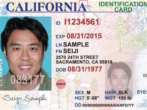California Driver's License Renewal - Security Guards Companies