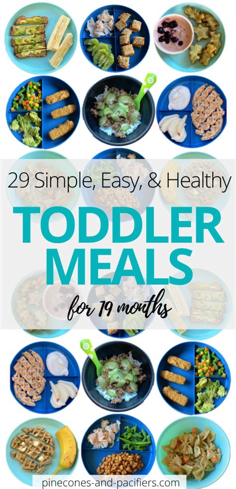 Toddler Meal Ideas 19 Months Pinecones And Pacifiers