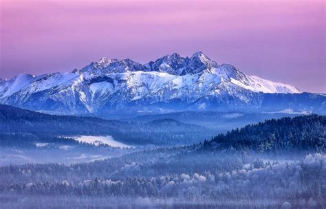 Nature Landscape Mountain Winter Pink Sky Forest