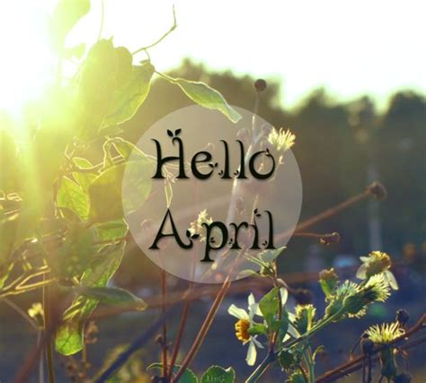 75 Hello April Quotes And Sayings Hello April April Quotes Months In