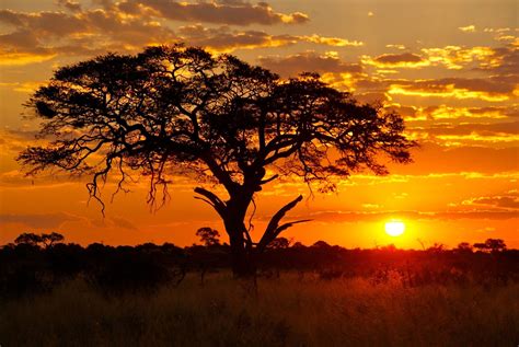 Africa African Sunset African Skies African Sunrise