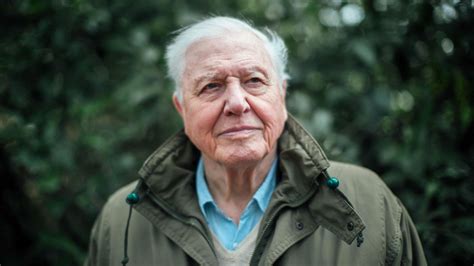 Boris johnson sends birthday wishes as he thanks great naturalist for inspiring millions. Sir David Attenborough Joins Instagram To Save The World ...