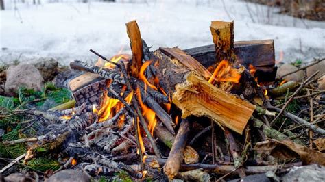 Fire Bonfire Winter Woods Firewood Flames Stock Image Image Of Warm