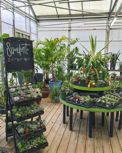 The Greenhouse Plants Greenhouse Plants Garden Center Displays