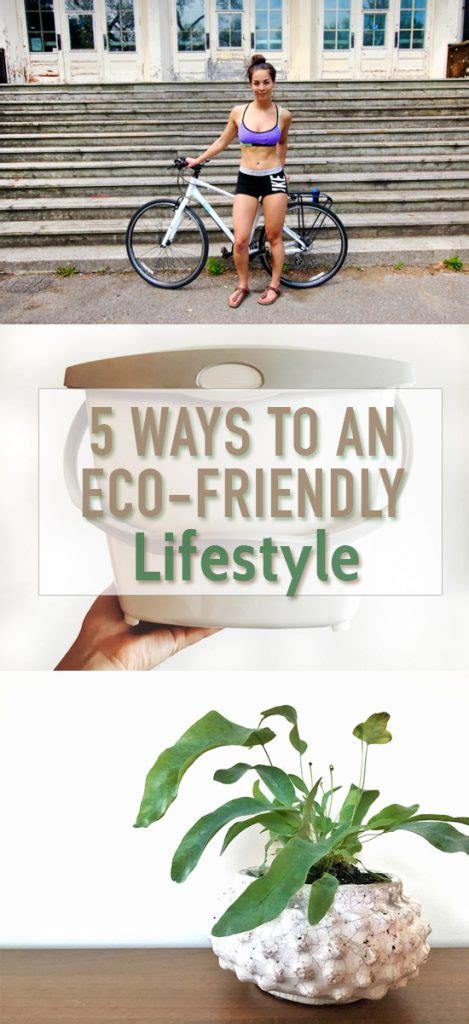 5 Ways To An Eco Friendly Lifestyle A Resolution Worth Keeping Born