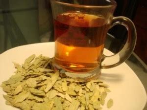 Teh jati cina adalah minuman herba yang digunakan sebagai pelangsingan dan untuk merawat sembelit. Edukasi tentang Herbal: Manfaat Teh Daun Jati Cina Untuk ...