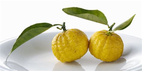 Meet Yuzu The Amazing Superfood That Has Three Times The Vitamin C Of