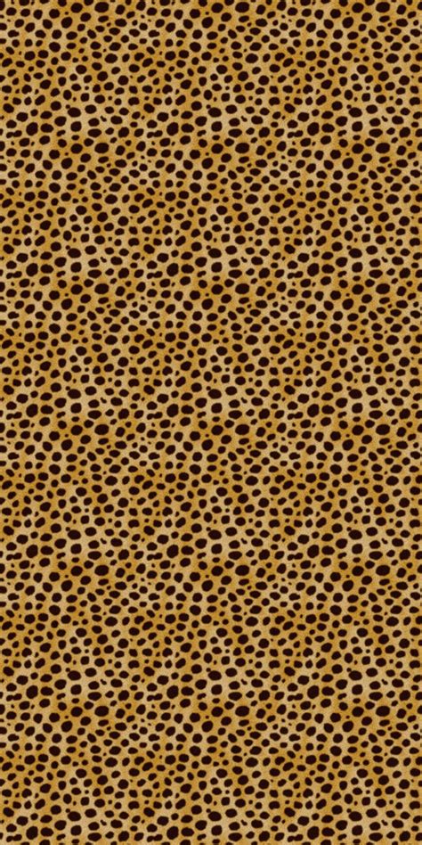 Cheetah by Animal Prints | DecalGirl