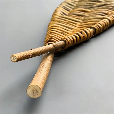 Organic Woven Willow Form