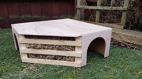 Corner Guinea Pig Tunnel With Built In Hay Rack Etsy