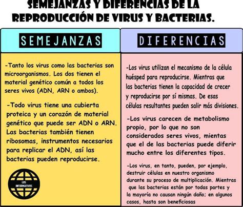 Cuáles son las semejanzas y diferencias en las funciones de reproducción de los virus y las