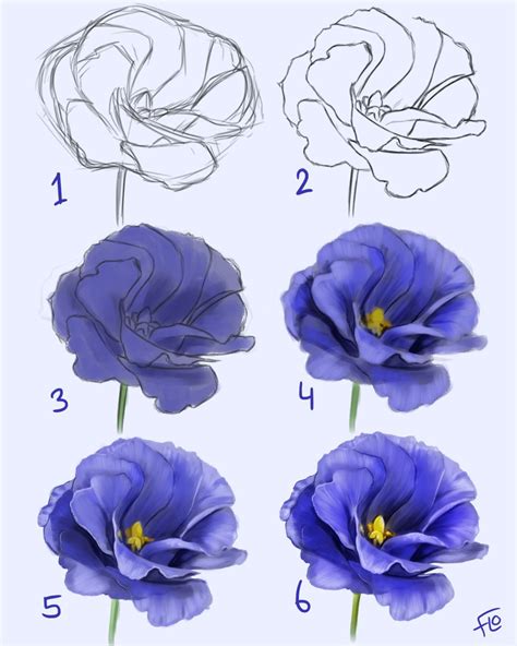 Drawing A Flower Step By Step Flower Drawing Tutorials Flower