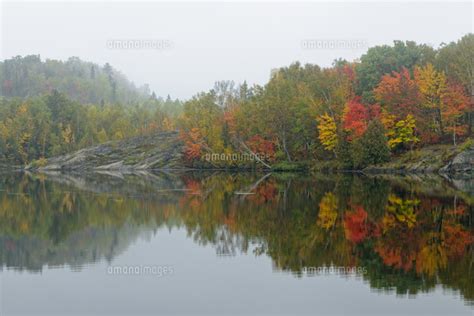Simon Lake With Autumn Trees In Light Fog Greater Sudbury Naughton