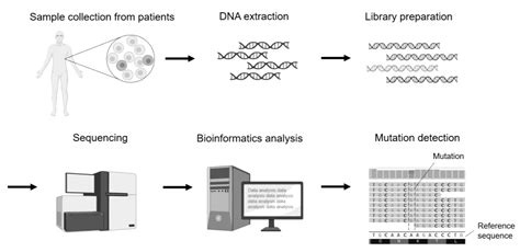 Next Generation Sequencing In Bone Genetic Diseases Encyclopedia Mdpi