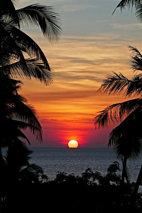 500+ Stunning Tropical Sunset Pictures [HD] | Download Free Images on ...