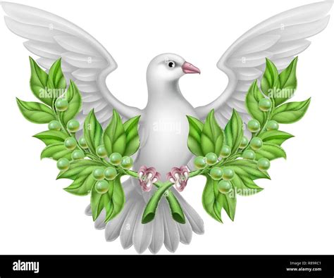 Dove Of Peace With Olive Branch Hi Res Stock Photography And Images Alamy