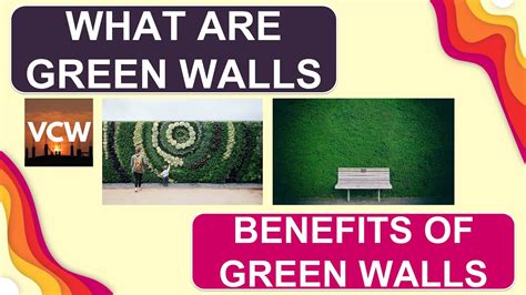 What Are Green Wallswhat Are Living Walls What Are The Benefits Of