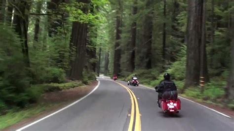Goldwing Motorcycle Touring Ride Avenue Of The Giants ...