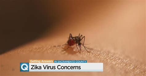 Warmer Temperatures Bring Zika Virus Concerns To Sacramento Area Cbs