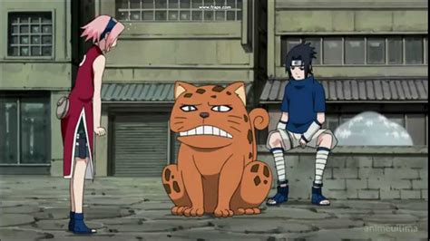 Naruto Transforms Into A Cat Youtube
