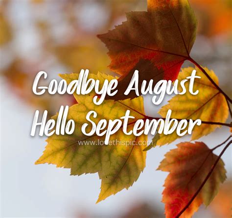 Beautiful Leaves Goodbye August Hello September Pictures Photos