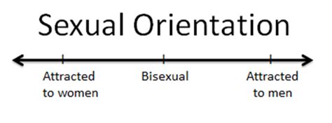 Meticulous Musings Understanding Sexual Orientation