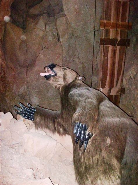 Model Of An Ice Age Giant Sloth That Roamed The Arizona Countryside
