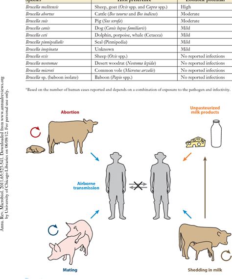 Figure 1 From Interactions Of The Human Pathogenic Brucella Species