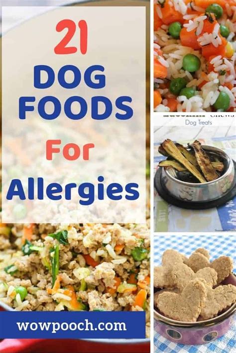 Our mission is to help dogs live longer & healthier lives. If your dog suffering from Allergies. Learn these 21 quick ...