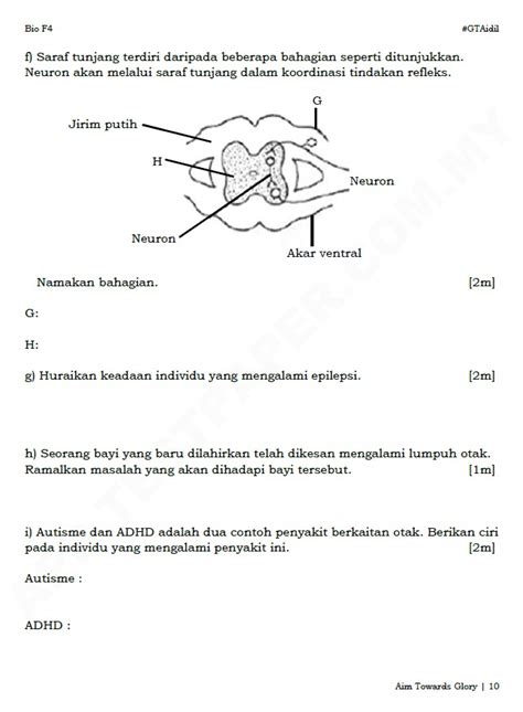 Latihan Biologi KSSM Bab 10 hingga 15 Dwibahasa Tingkatan 4  276 Muka Surat