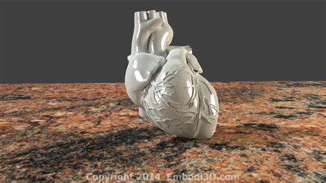 3d Printed Human Heart