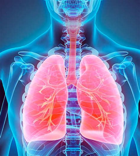 What Can A Lung Ct Scan Detect Preventative Diagnostic Center