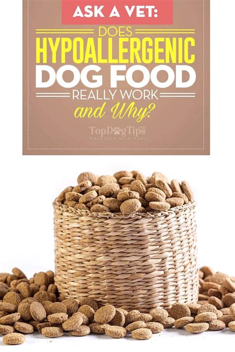 The Best Hypoallergenic Dog Foods Hypoallergenic Dog Food Dog Food