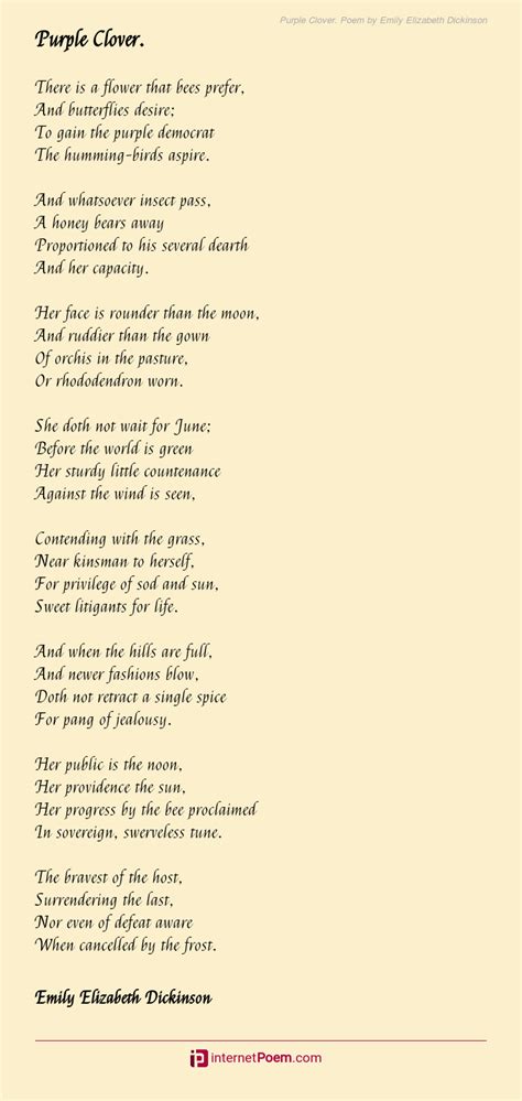 Purple Clover Poem By Emily Elizabeth Dickinson