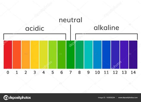 Chart Ph Alkaline And Acidic Scale Vector Stock Vector Image By