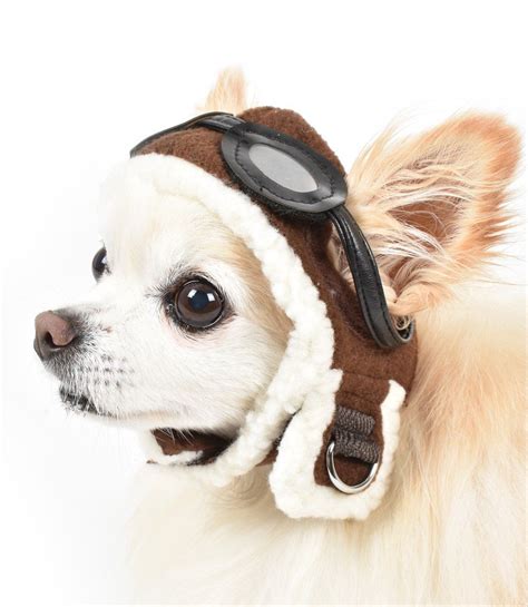 Pin By Cindy Jones On Chihuahuas Aviator Hat Dog Parade Pet