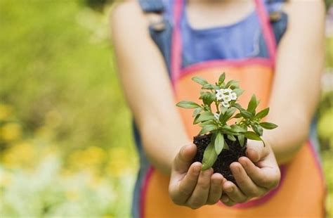 Ensine Os Pequenos A Cuidar Da Natureza Com As Dicas Da Giu