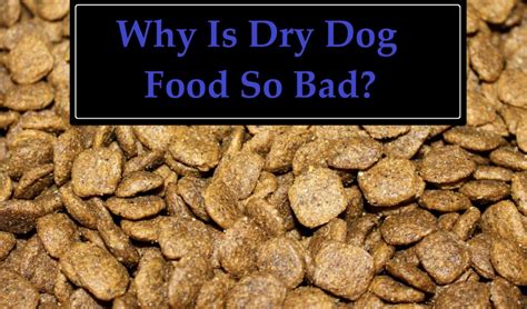 Infographic showing which human foods dogs can eat and which are toxic. Why Is Dry Dog Food So Bad? - Falcone Family Farms Blog