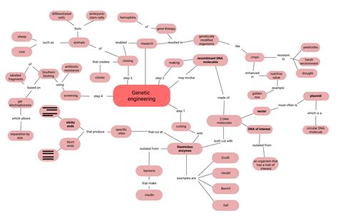 Concept Mapping Make A Concept Map About Genetic Enginee Quizlet