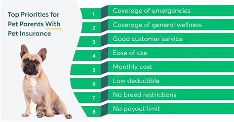 By choosing the best pet insurance, your dog and your wallet will be protected against common injuries and illnesses. The Best Pet Insurance: A Pet Parent's Guide - Pet Voice