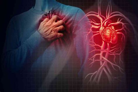 Cancer Survivors Risk Heart Disease Industry Global News24