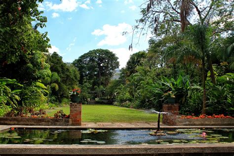 Hope Gardens Jamaica The Natural Place To Be