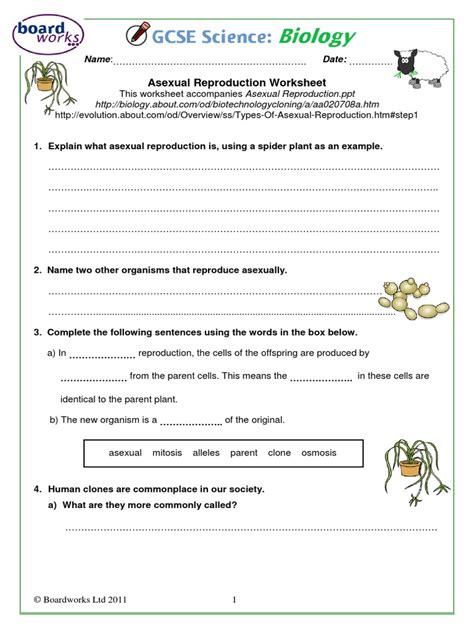 Asexual Reproduction Worksheet Boardworks Pdf Reproduction Cloning