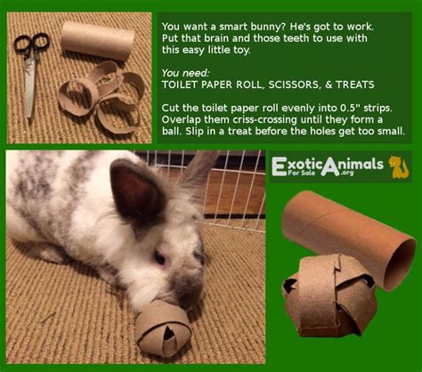 bunny food ball diy bunny rabbit toys that are cheap and easy to make awesome for all sorts
