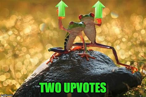 Rate My Fro Frog Week June 4 10 A Jbmemegeek And Giveuahint Event