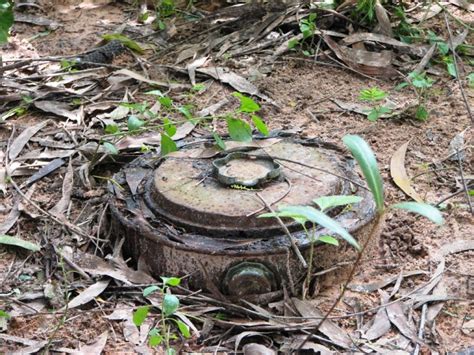 Land Mine Kills One Soldier In The Far North Region Cameroon News Agency