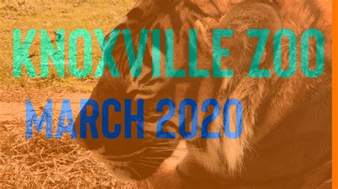 Knoxville Zoo 2020 Youtube