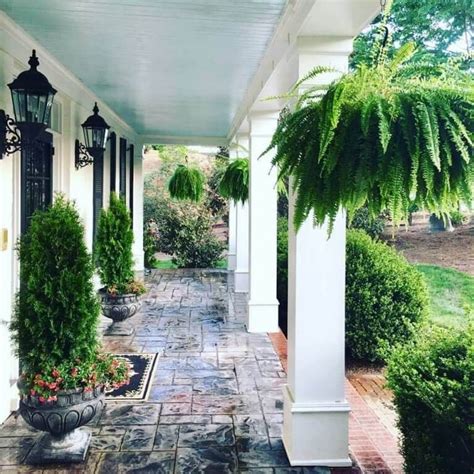 5 Tips For Front Porch Ferns Fairview Garden Center Porch